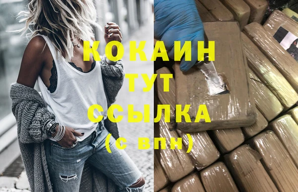 mix Богородицк