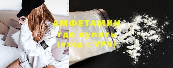прущие грибы Белокуриха