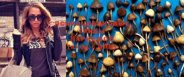 альфа пвп Богданович