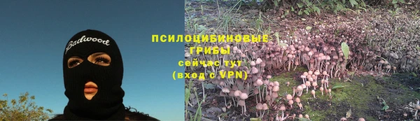 mix Богородицк