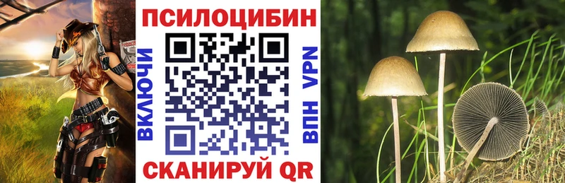 дарнет шоп  Киржач  МЕГА ссылка  Галлюциногенные грибы Cubensis 