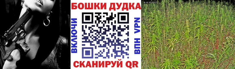 гидра онион  где купить наркоту  Киржач  Канабис THC 21% 